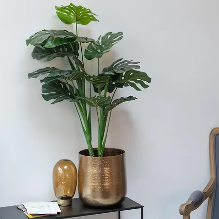 Hendrik Geeraert * Nieuwpoort